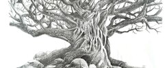 Bernard Maignan - Cours de dessin et peinture 